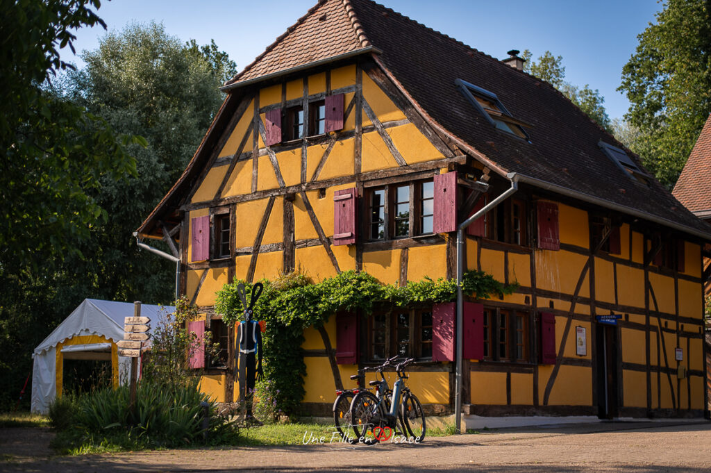 maison-de-la-nature-altenach-sundgau-Une-Fille-En-Alsace-2024