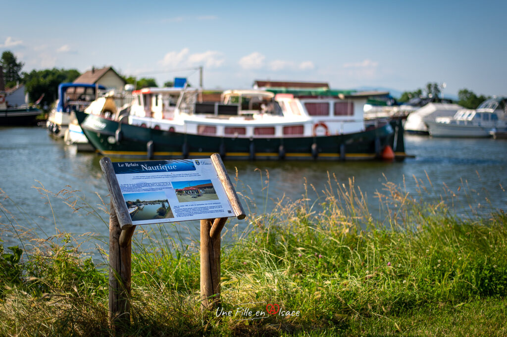 port-dannemarie-sundgau-Une-Fille-En-Alsace-2024