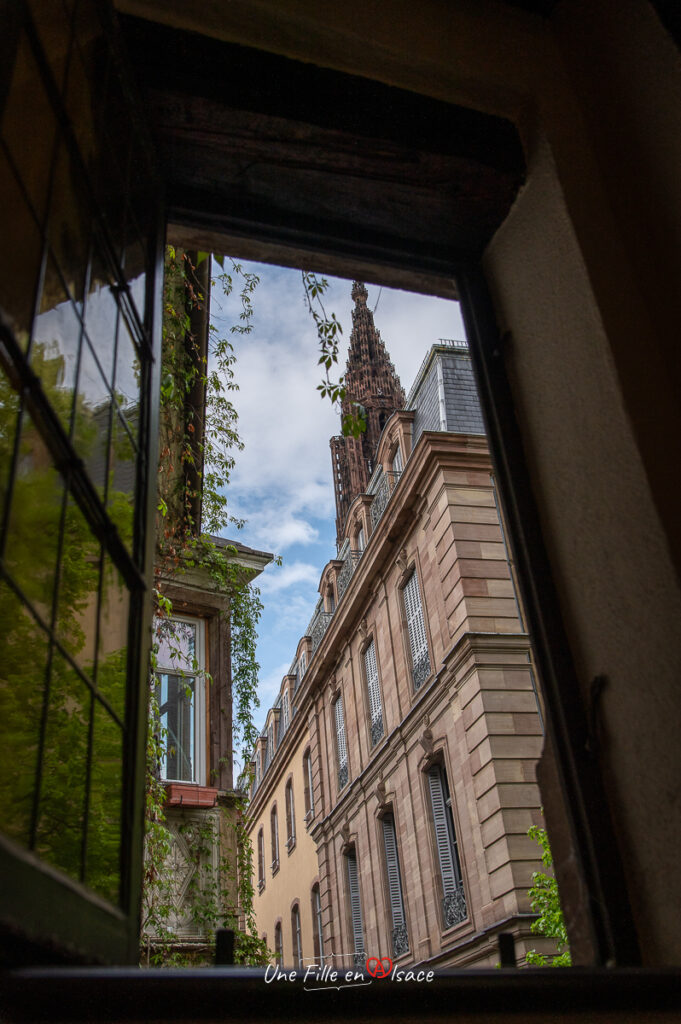 cathedrale-vue-du-restaurant-le-tire-bouchon-strasbourg-Une-Fille-En-Alsace-2024