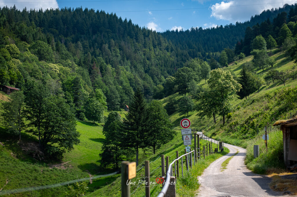 velo-vallee-de-la-murg-allemagne-Une-Fille-En-Alsace-2024