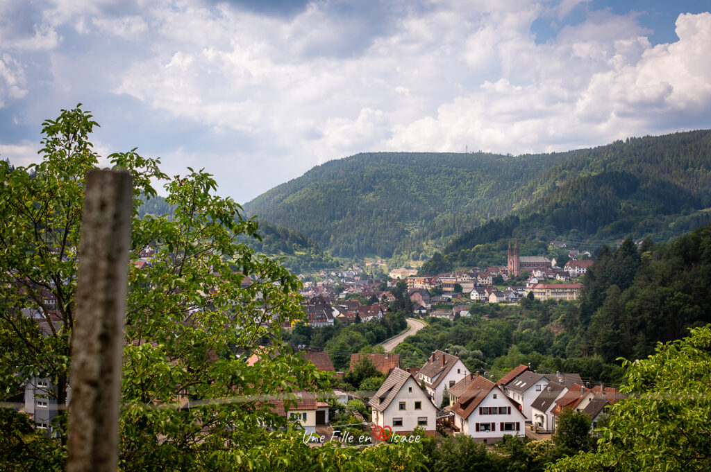 velo-vallee-de-la-murg-allemagne-Une-Fille-En-Alsace-2024