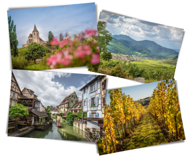 Lot 4 cartes postales "Alsace"