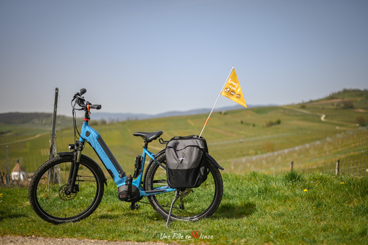 Vinoroute, promenades à pied ou à vélo dans les vignes