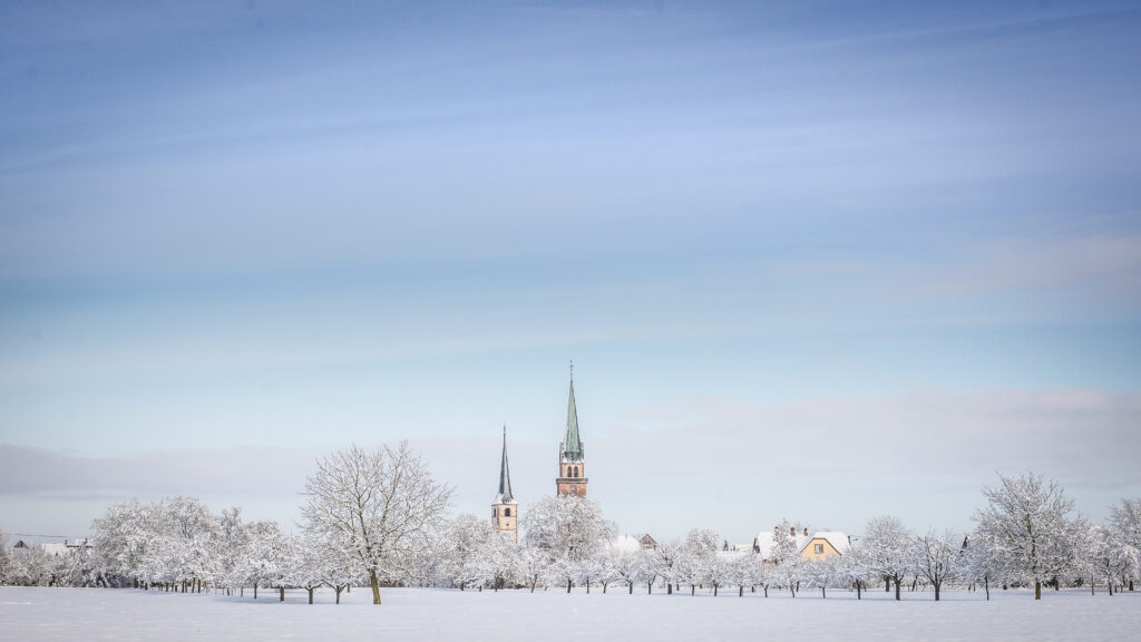 34-meistratzheim-neige-HD@Céline-Schnell-Une-Fille-En-Alsace-2021