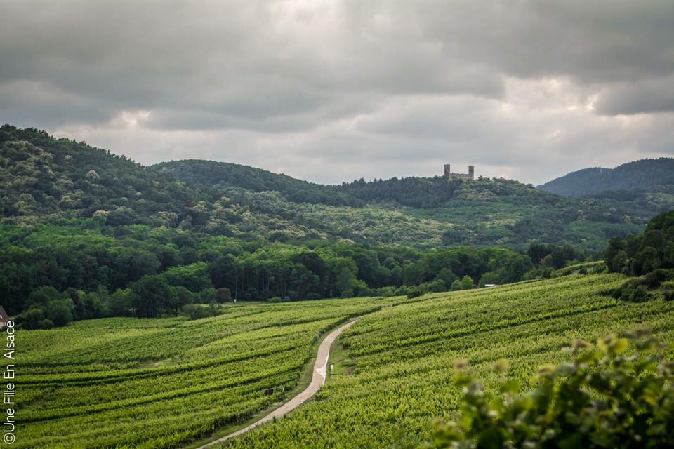 Mittelbergheim-2018-une-fille-en-alsace