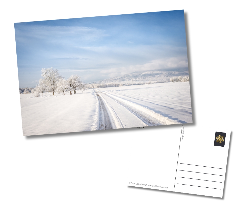 Carte postale Neige en Alsace - boutique des Kneckes - Une Fille en Alsace