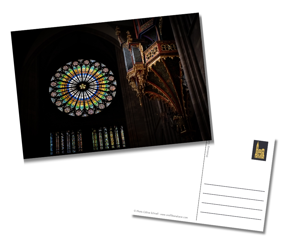 Carte postale Cathédrale de Strasbourg - boutique des Kneckes - Une Fille en Alsace