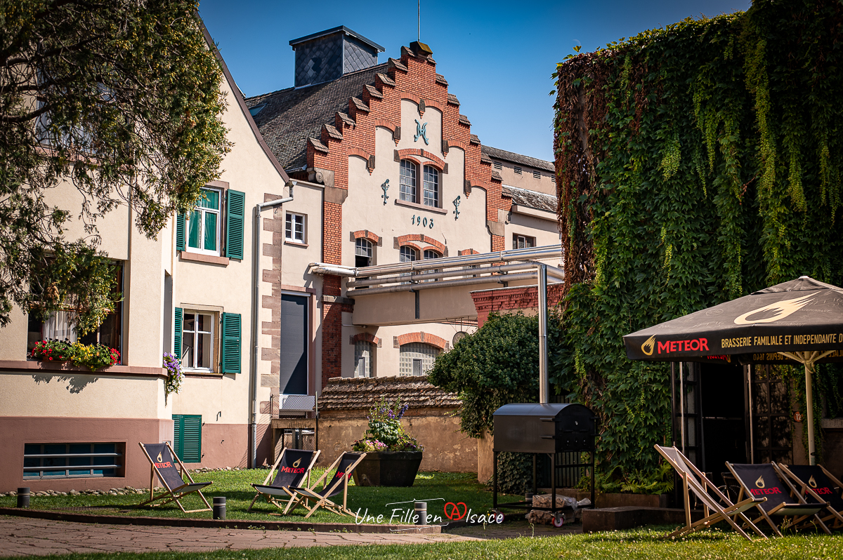 brasserie-meteor-hochfelden-Celine-Schnell-Une-Fille-En-Alsace-2023