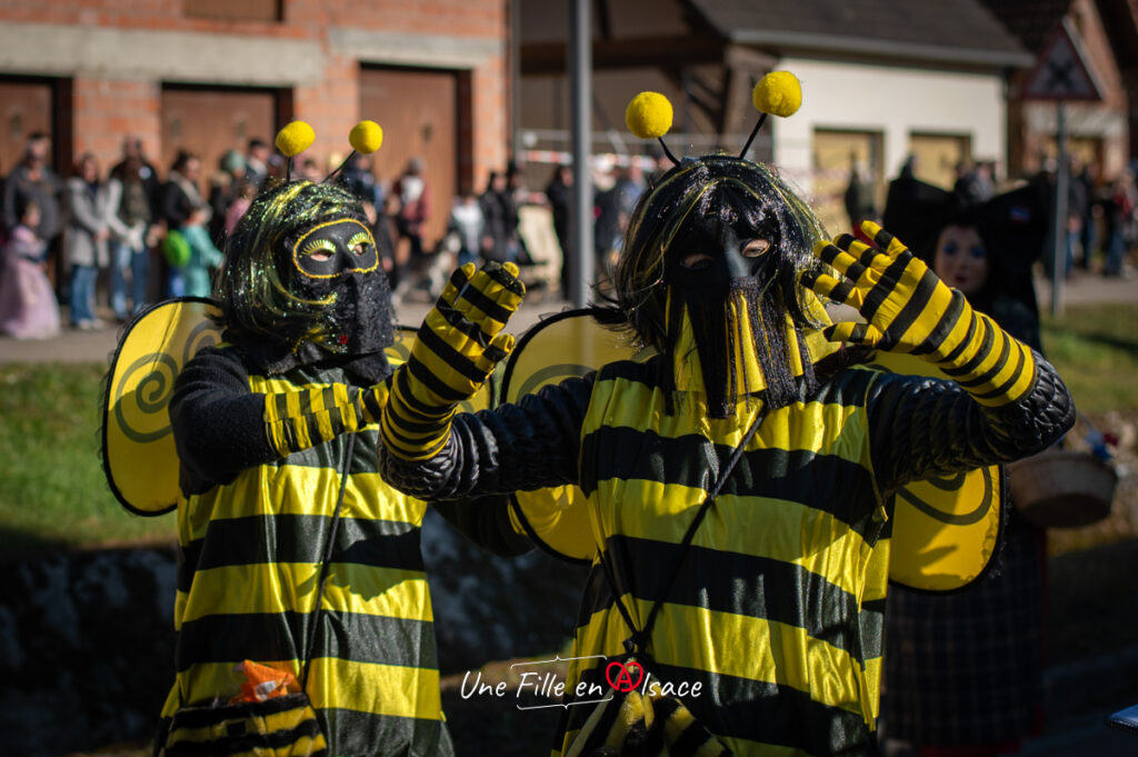 carnaval-mothern-Une-Fille-En-Alsace-2025