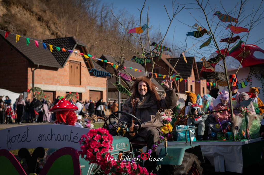 carnaval-mothern-Une-Fille-En-Alsace-2025