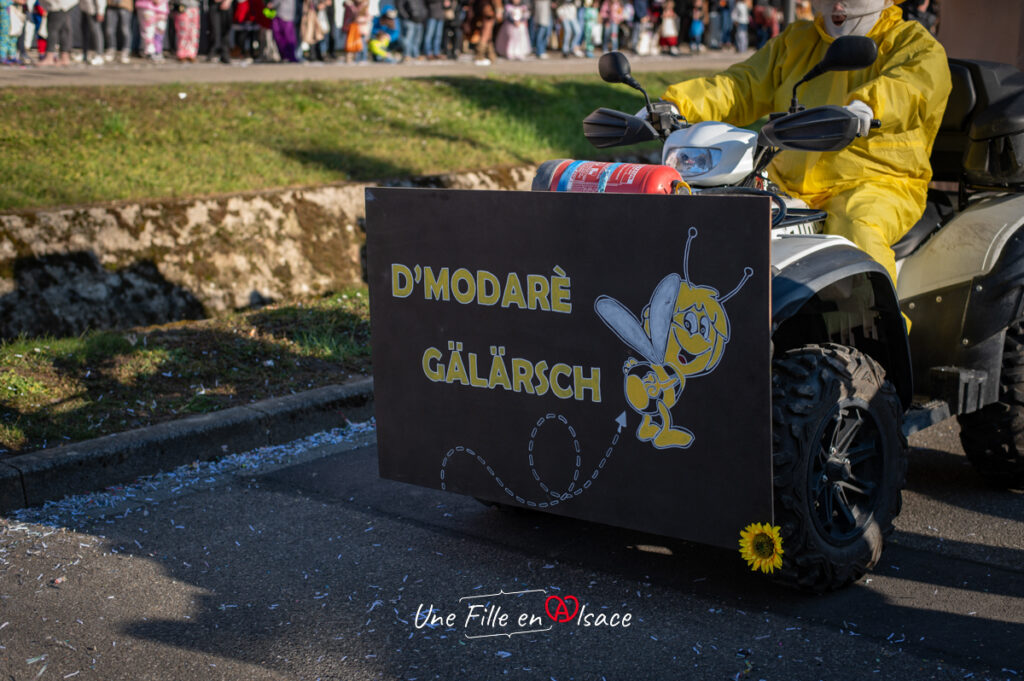 carnaval-mothern-Une-Fille-En-Alsace-2025