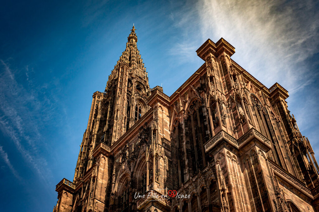 cathedrale-de-strasbourg-Celine-Schnell-Une-Fille-En-Alsace-2023-01