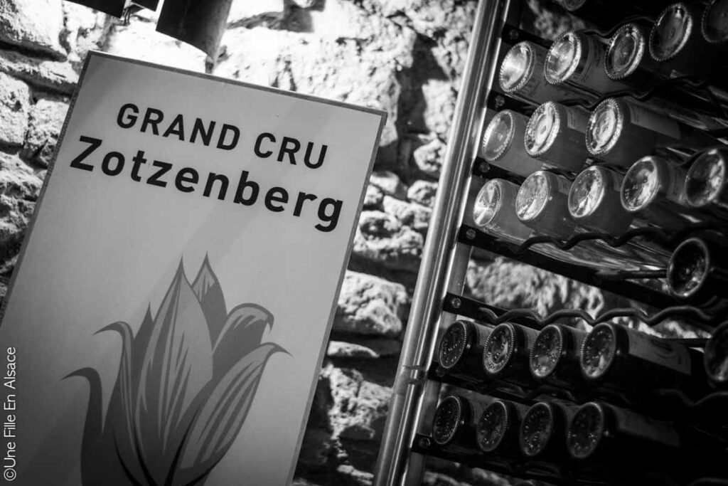 Mittelbergheim-2018-une-fille-en-alsace