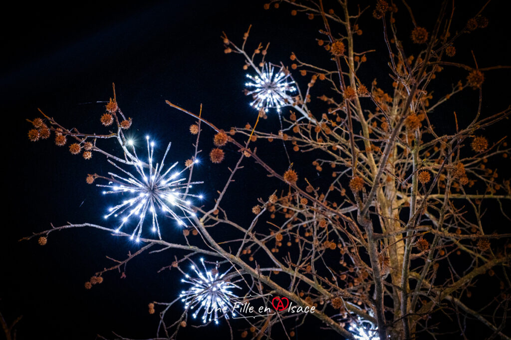 marche-de-noel-truchtersheim@Celine-Schnell-Une-Fille-En-Alsace-2025