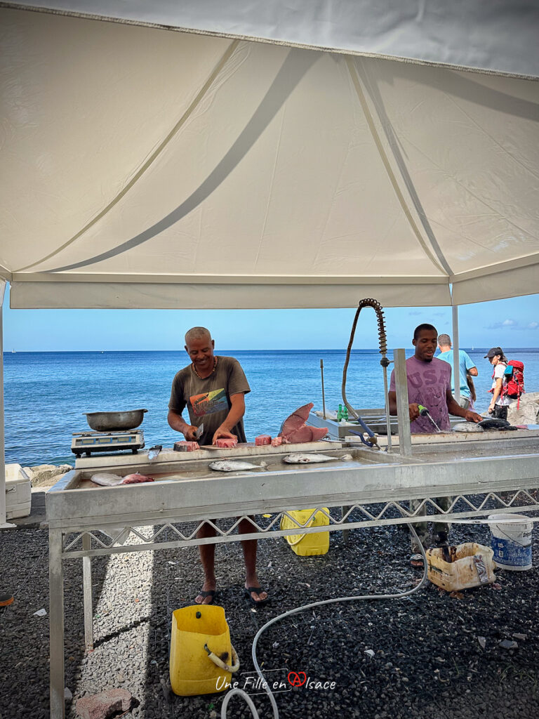 marché aux poissons Guadeloupe- marie-blue-passion-travel-planner-Une-Fille-En-Alsace-2025-