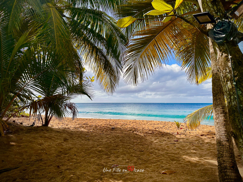 plage Guadeloupe- marie-blue-passion-travel-planner-Une-Fille-En-Alsace-2025-