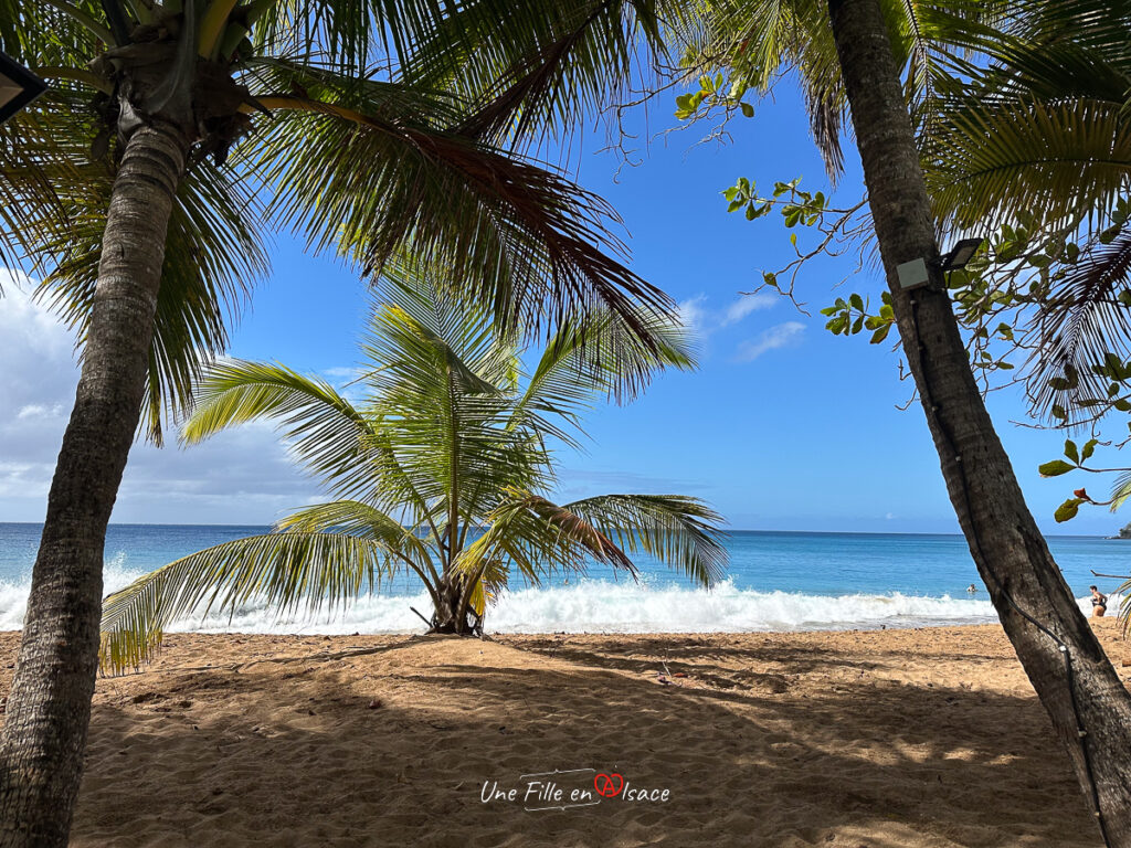 plage Guadeloupe- marie-blue-passion-travel-planner-Une-Fille-En-Alsace-2025-