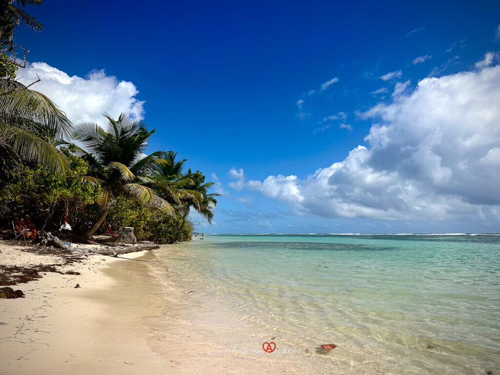 plage bois Jolan Guadeloupe- marie-blue-passion-travel-planner-Une-Fille-En-Alsace-2025-