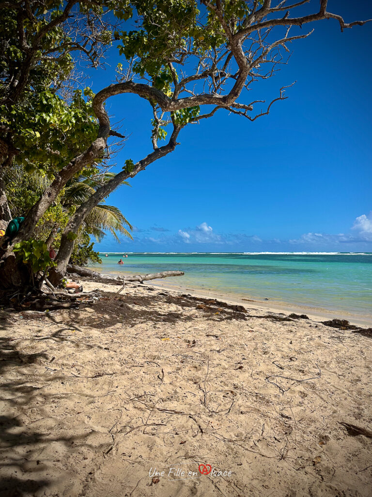 plage bois jolan Guadeloupe- marie-blue-passion-travel-planner-Une-Fille-En-Alsace-2025-