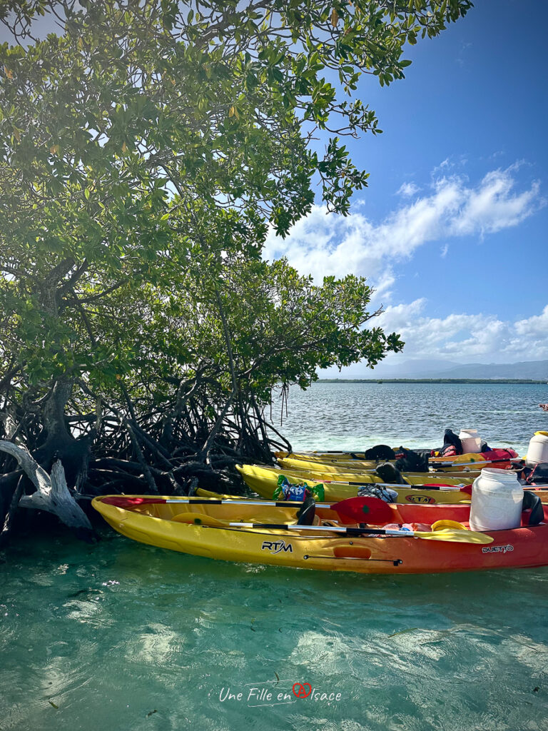 canoe en mer Guadeloupe- marie-blue-passion-travel-planner-Une-Fille-En-Alsace-2025-