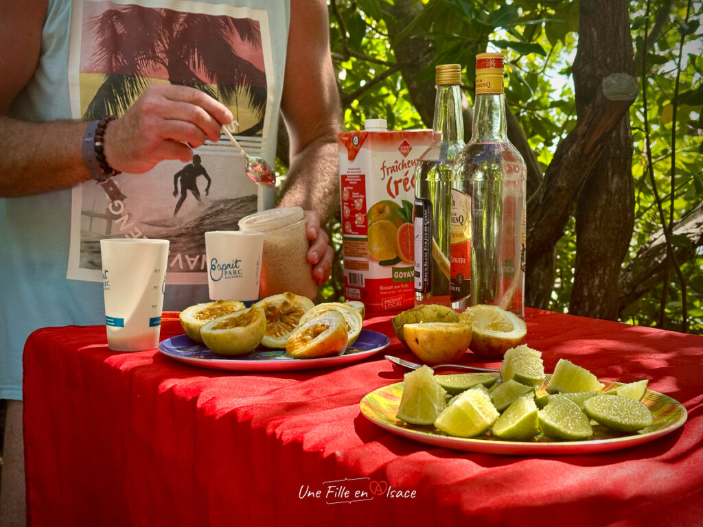 planteur rhum punch Guadeloupe- marie-blue-passion-travel-planner-Une-Fille-En-Alsace-2025-