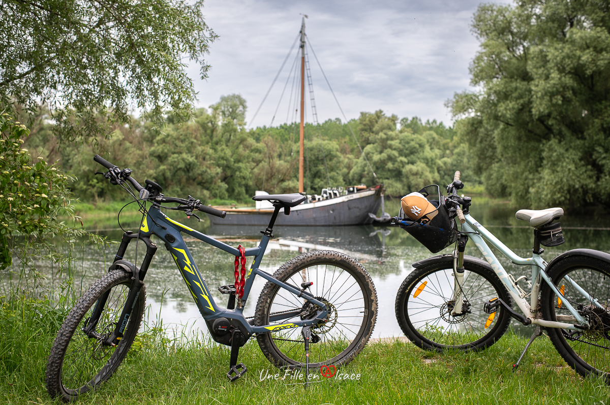 3 sorties à vélo en Allemagne : vignobles, Rhin et vallée de la Murg